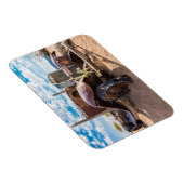 ナミビアのソリティアにある古くて捨てられた#3車 マグネット (右側)