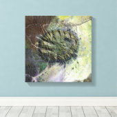 ナミビアのブランデンベルグ・マシフ キャンバスプリント (インサイチュ (ウッドフロア))