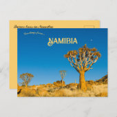 ナミビアの木立 ポストカード (正面/裏面)