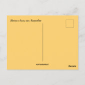 ナミビアの木立 ポストカード (裏面)