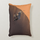 ナミビアの端にあるオリックス アクセントクッション (正面(垂直))