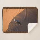 ナミビアの端にあるオリックス シェルパブランケット (正面(横))