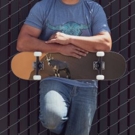 ナミビアの端にあるオリックス スケートボード