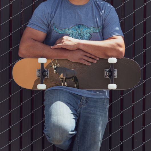 ナミビアの端にあるオリックス スケートボード (室外3)