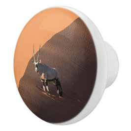 ナミビアの端にあるオリックス セラミックノブ