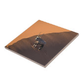 ナミビアの端にあるオリックス タイル (側面)