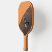 ナミビアの端にあるオリックス ピックルボールラケット (左)