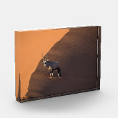 ナミビアの端にあるオリックス フォトブロック (左)