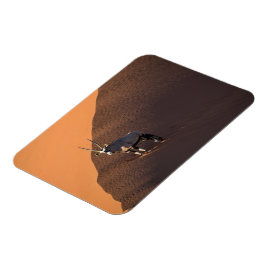 ナミビアの端にあるオリックス マグネット