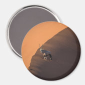 ナミビアの端にあるオリックス マグネット (正面/裏面)