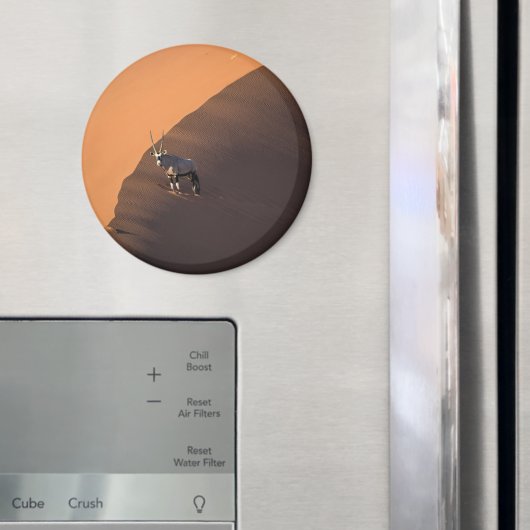 ナミビアの端にあるオリックス マグネット (インサイチュ (冷蔵庫))