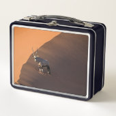 ナミビアの端にあるオリックス メタルランチボックス (正面)