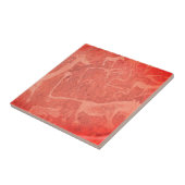 ナミビアアフリカナミビアロックア絵画ートズ タイル (側面)