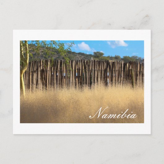 ナミビアアフリカナミビア景観自然草 ポストカード (正面)