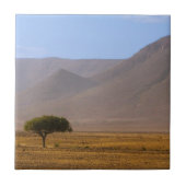 ナミビアアフリカ砂漠の風景自然 タイル (正面)