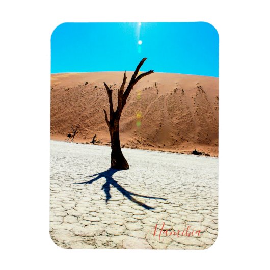 ナミビア砂丘ランドスケープSossusvlei マグネット (縦)