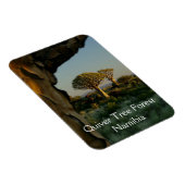 ナミビア磁石の木林 マグネット (右側)