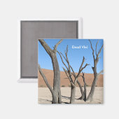 ナミビア磁石デッド・ブレイ マグネット (正面/裏面)