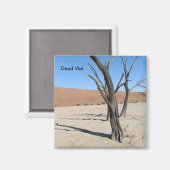 ナミビア磁石デッド・ブレイ マグネット (正面/裏面)