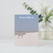 ナミビア葉書 ポストカード (スタンド正面)