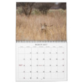 ナミビア2013の壁掛けカレンダー カレンダー (3月 2027)