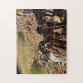 ナミビア・アフリカ・ナミビア・ランドスケープ・ヤギ ジグソーパズル (縦)