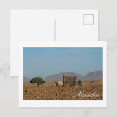 ナミビア・アフリカHimba決済構造 ポストカード (正面/裏面)