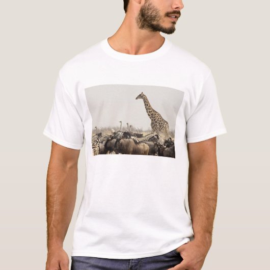 ナミビア、エトシャ国立公園。1頭のキリン Tシャツ (正面)