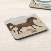 ナミビア、オーストラリア。野生のランニング馬のナミ コースター (左側)