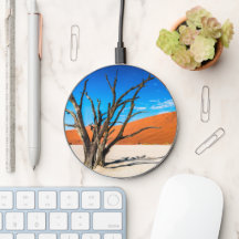 ナミビア，デアドブリの枯れ木