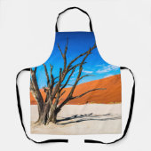 ナミビア,デアドブリの枯れ木 エプロン (正面)