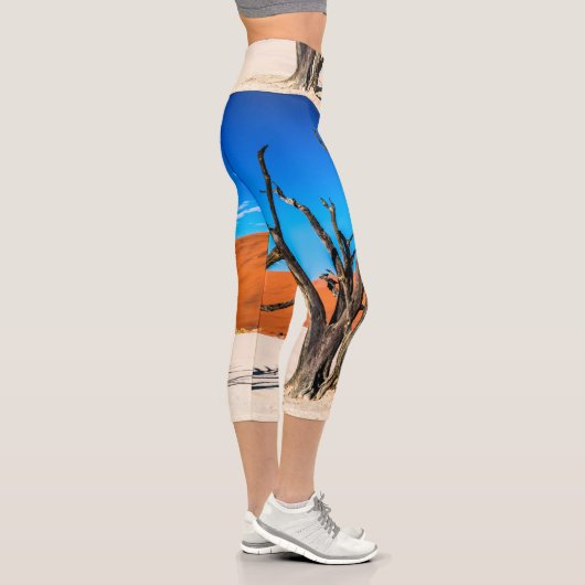 ナミビア，デアドブリの枯れ木 カプリレギンス (右)