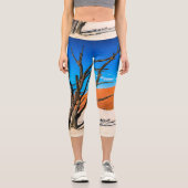 ナミビア，デアドブリの枯れ木 カプリレギンス (正面)