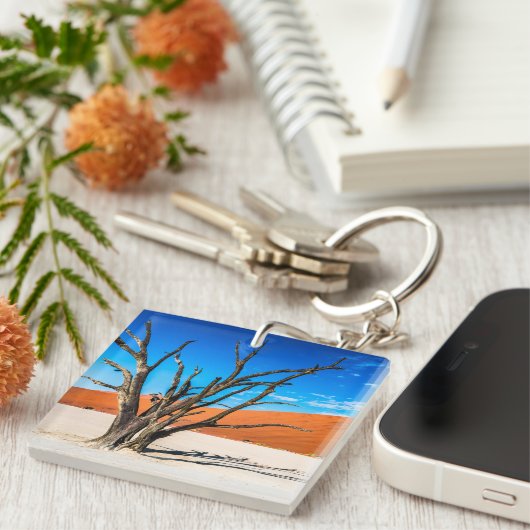 ナミビア,デアドブリの枯れ木 キーホルダー (正面右)