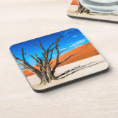 ナミビア，デアドブリの枯れ木 コースター (左側)