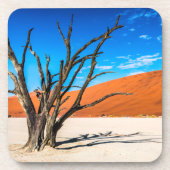 ナミビア，デアドブリの枯れ木 コースター (正面)