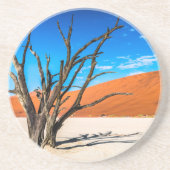 ナミビア，デアドブリの枯れ木 コースター (正面)