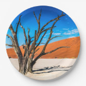 ナミビア,デアドブリの枯れ木 ペーパープレート (正面)