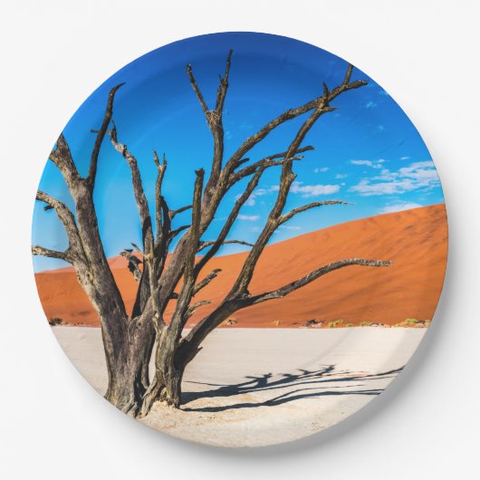 ナミビア,デアドブリの枯れ木 ペーパープレート (正面)