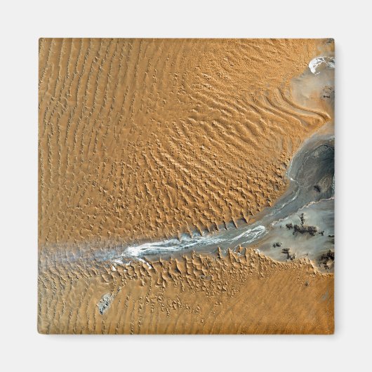 ナミビア，ナミブ砂漠 マグネット (正面)