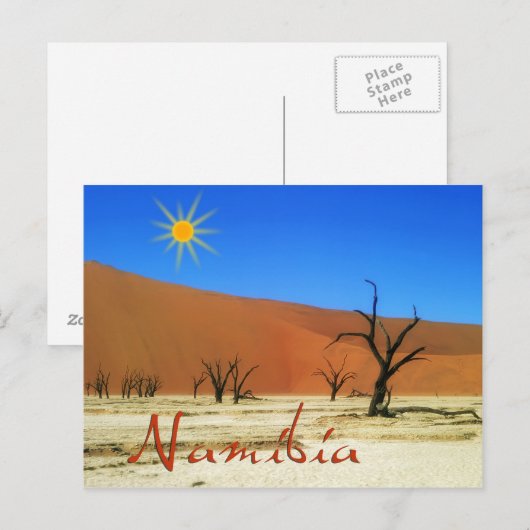 ナミビア ポストカード (正面/裏面)
