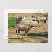 ナミビア ポストカード (正面/裏面)