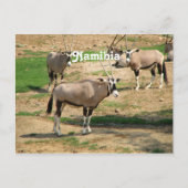 ナミビア ポストカード (正面)