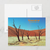 ナミビア ポストカード (正面/裏面)