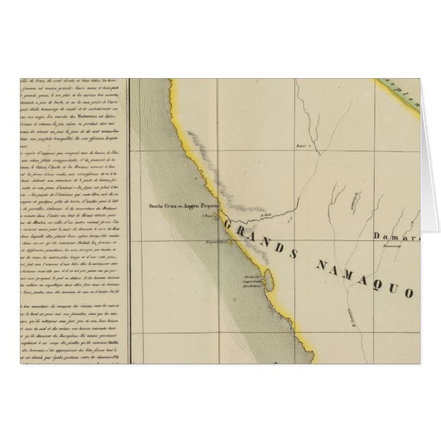 ナミビア、南アフリカ50 (正面横)