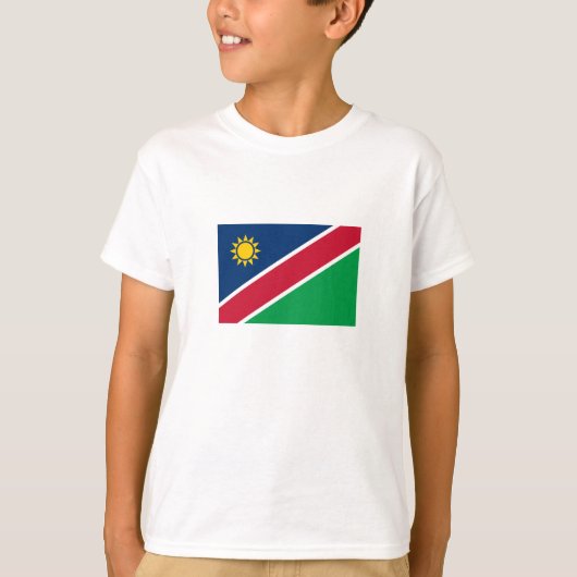 ナミビア 国旗 Tシャツ (正面)