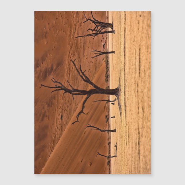 ナミビア，死んだブレイ (正面)