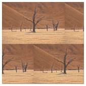 ナミビア，死んだブレイ ファブリック (クローズアップ)