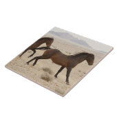 ナミビア 砂漠を駆ける野生の馬 タイル (側面)