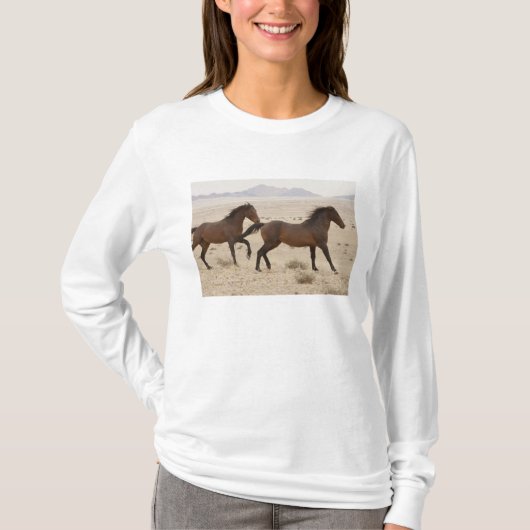 ナミビア 砂漠を駆ける野生の馬 Tシャツ (正面)